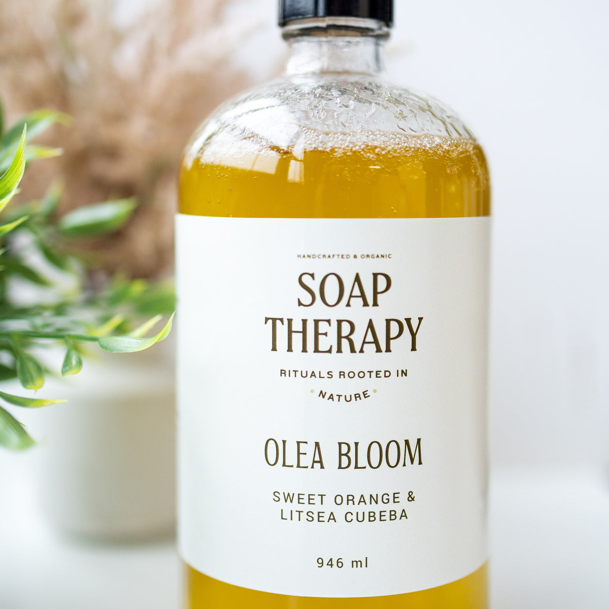 Olea Bloom